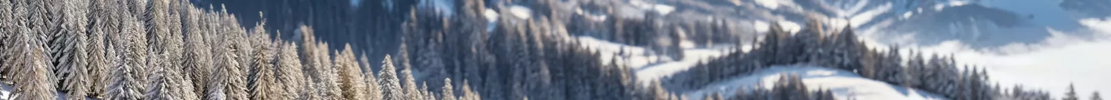 Winterliche Berglandschaft als Hintergrundmotiv im Kontext von Haus der Energie