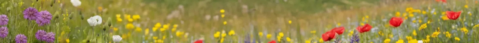 Frühjahrshafte Berglandschaft als Hintergrundmotiv im Kontext von Haus der Energie